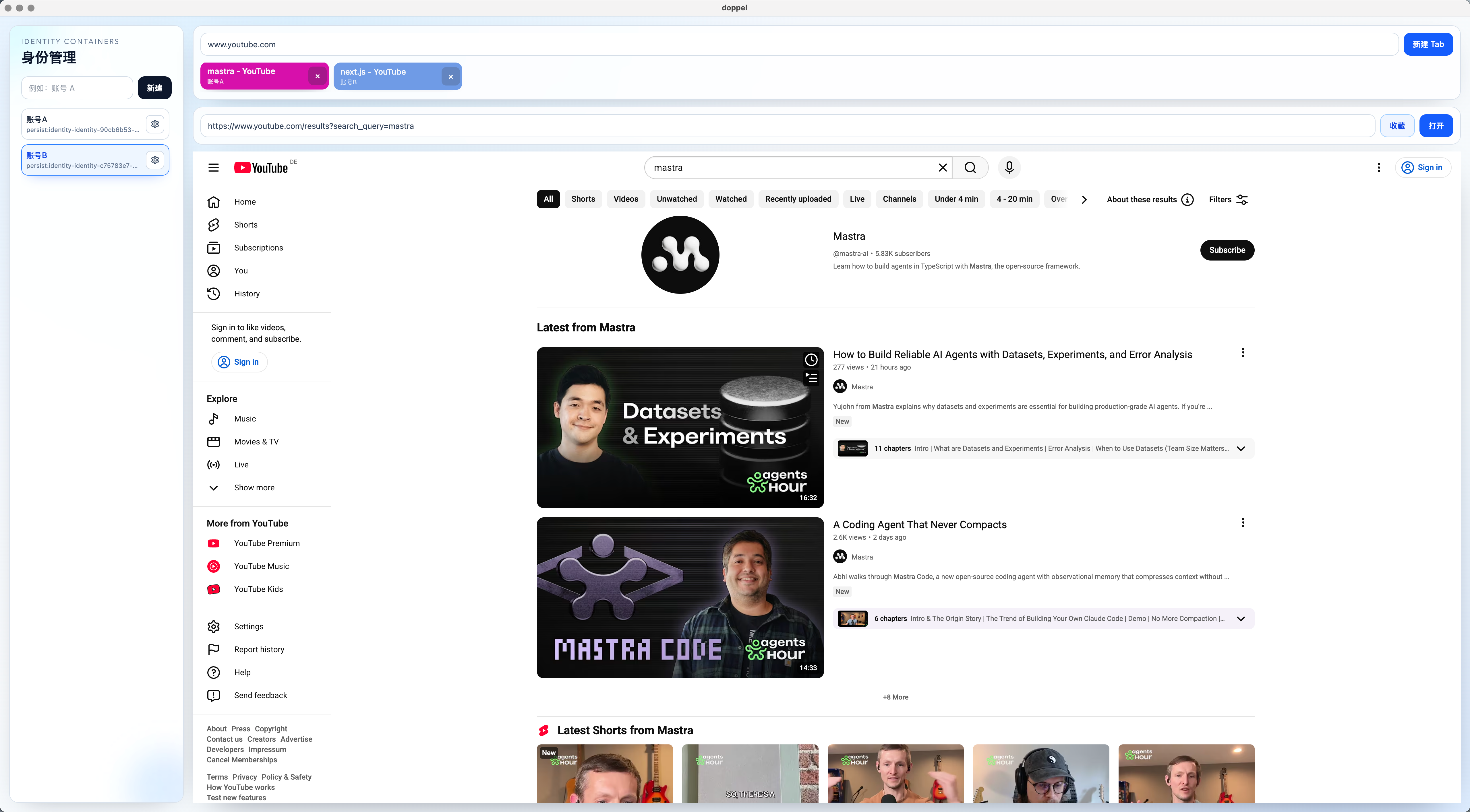 Doppel 身份编辑预览
